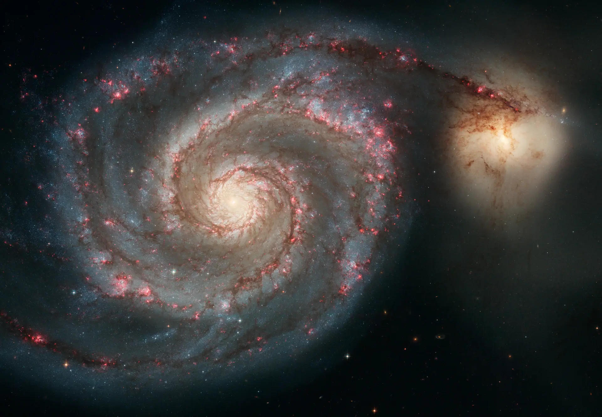 The Whirlpool Galaxy (M51) and companion galaxy. Credit: NASA, ESA, S. Beckwith (STScI), and The Hubble Heritage Team (STScI/AURA). CC BY 4.0. The Whirlpool Galaxy, a spiral galaxy with sweeping arms, interacting with a smaller companion