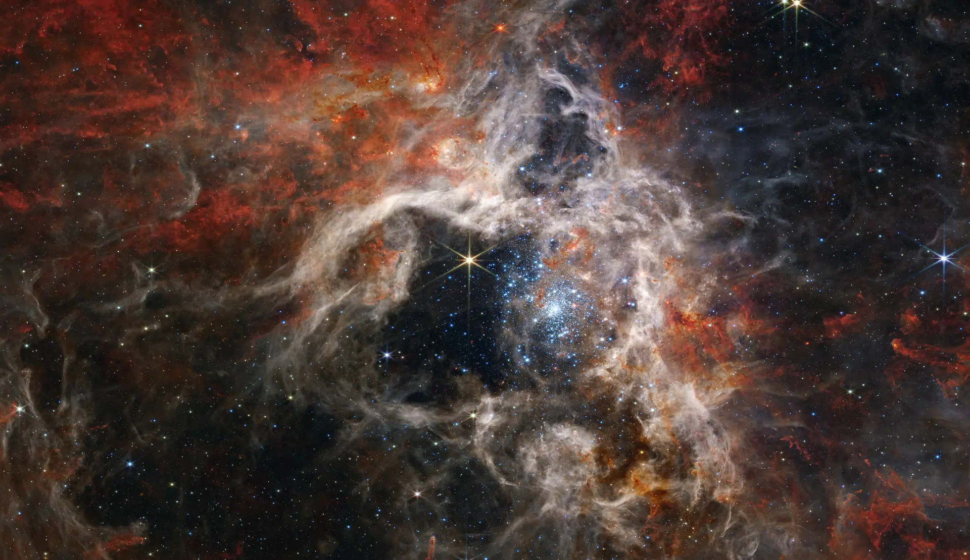 Tarantula Nebula (NIRCam). Credit: NASA, ESA, CSA, and STScI. CC BY 4.0. The Tarantula Nebula in infrared, glowing filaments of gas and dust around young stars